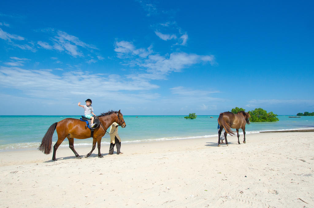 海崖水疗度假酒店 Zanzibar 外观 照片